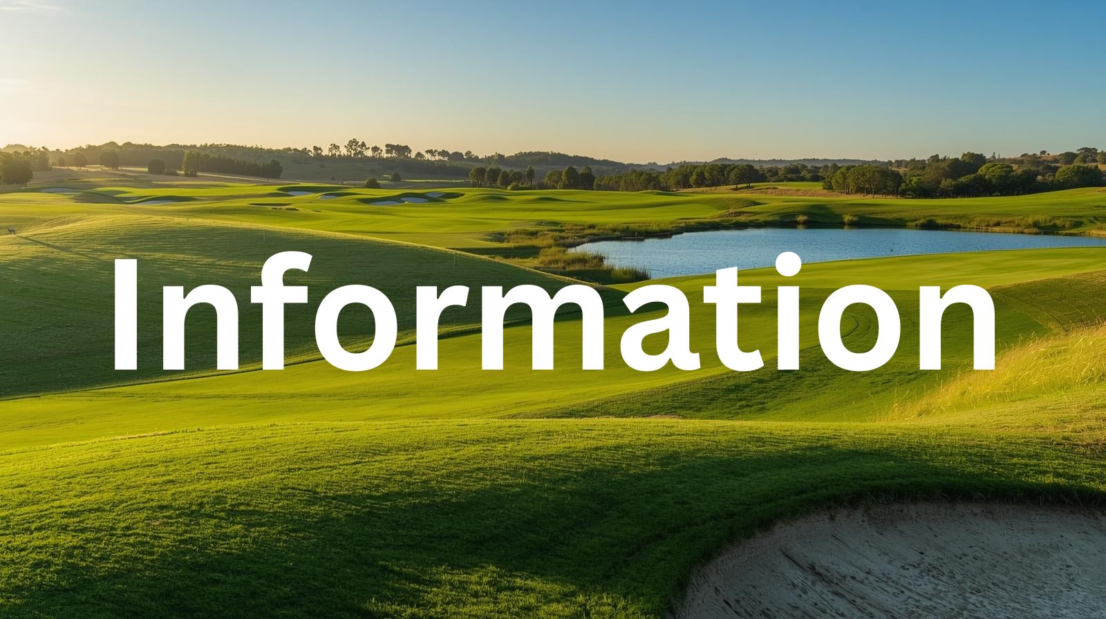 Trolleys wieder freigegeben